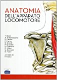 Anatomia dell’apparato locomotore