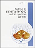 Anatomia del sistema nervoso centrale e periferico dell'uomo