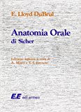 Anatomia orale di Sicher