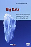 Big data. Architettura, tecnologie e metodi per l’utilizzo di grandi basi di dati