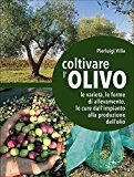Coltivare l’olivo. Le varietà, le forme di allevamento, le cure dall’impianto alla produzione dell’olio