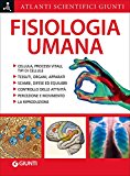 Fisiologia umana