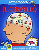 Il cervello. Con adesivi