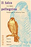 Il falco pellegrino