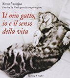 Il mio gatto, io e il senso della vita