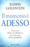 Il momento è adesso. Il potere della mindfulness per una vita senza problemi