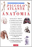 Il piccolo atlante di anatomia