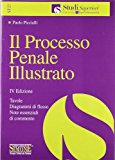 Il processo penale illustrato. Tavole, diagrammi di flusso, note essenziali di commento