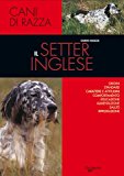 Il setter inglese