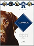 Labrador