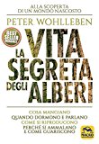 La vita segreta degli alberi