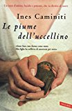 Le piume dell’uccellino