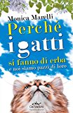 Perché i gatti si fanno di erba e noi siamo pazzi di loro