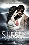 Sudden Storm: Volume 1