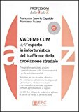 Vademecum dell’esperto in infortunistica del traffico e della circolazione stradale