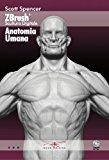 Zbrush scultura digitale anatomia umana. Con DVD